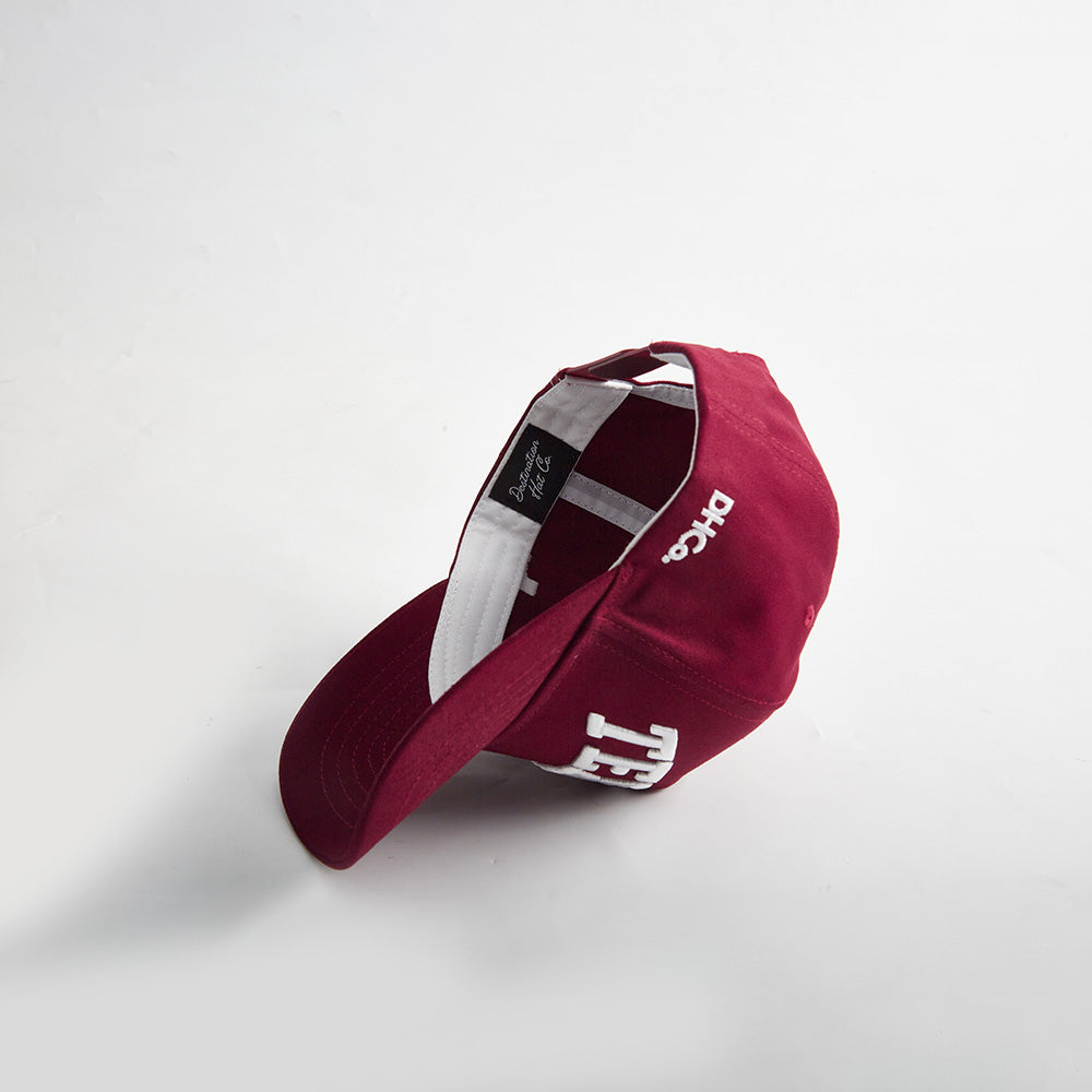 Destination Hat Co. The State of Texas Legacy Snapback - AVBL MRKT (6)