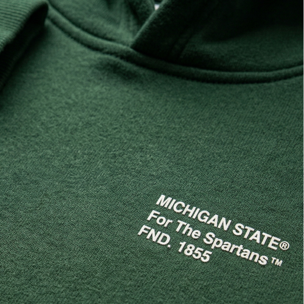 Michigan State x UPSIDE Hoodie - AVBL MRKT (2)
