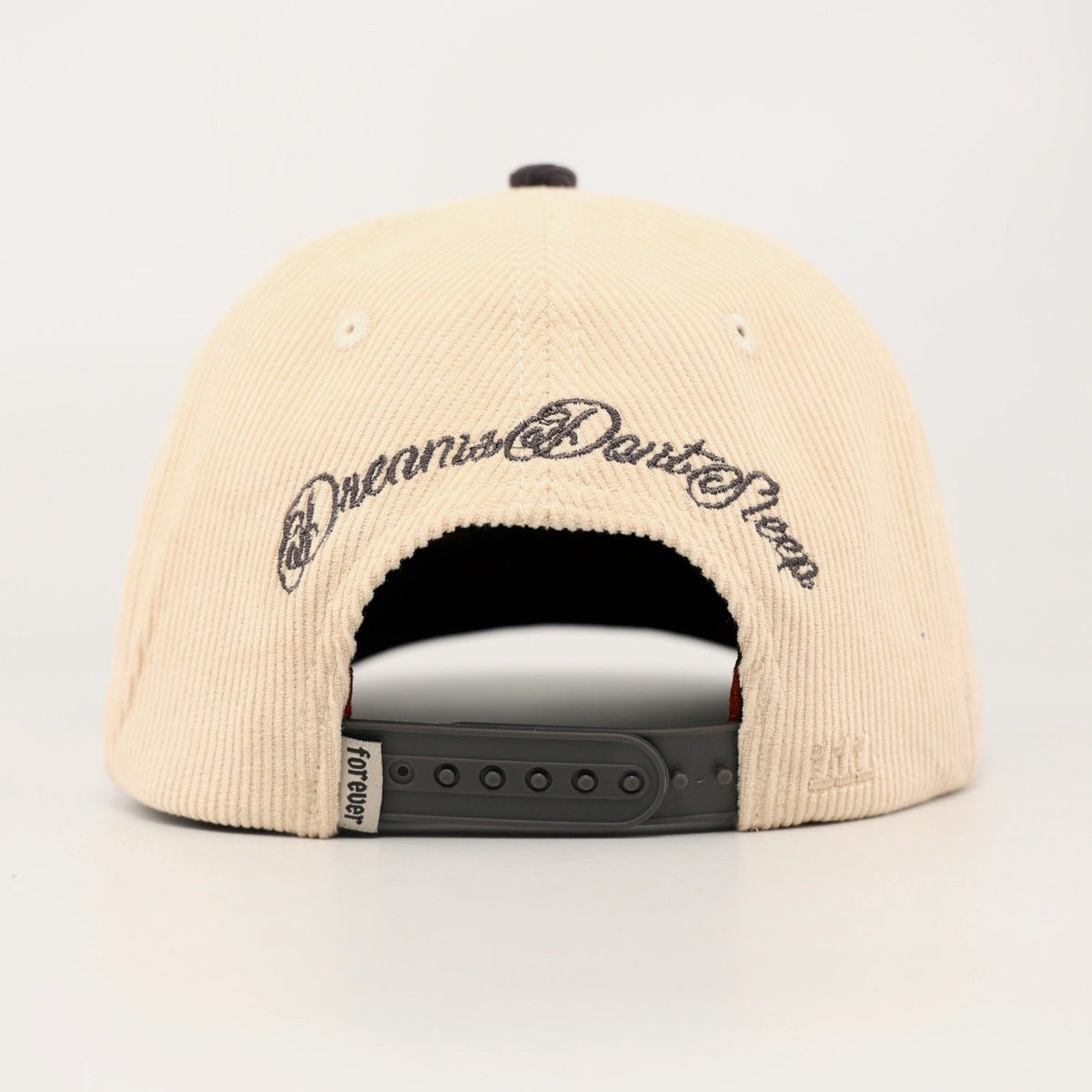 OG BA: From the Bay to the World Snapback (Cream/Charcoal) - AVBL MRKT (6)