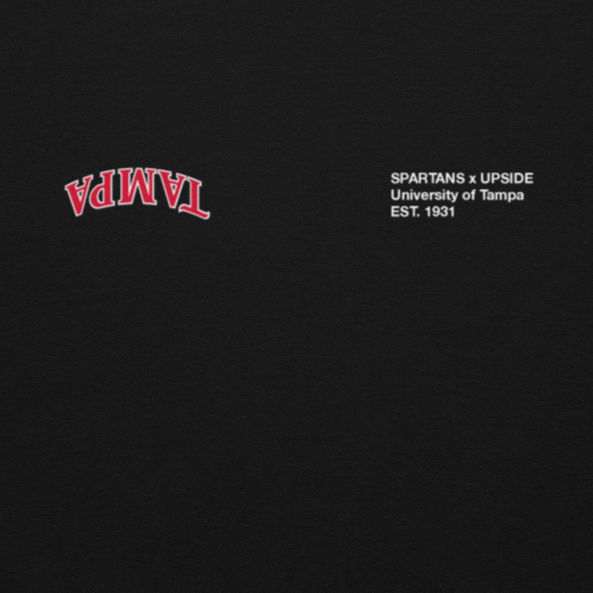 Tampa x UPSIDE Hoodie - AVBL MRKT (3)