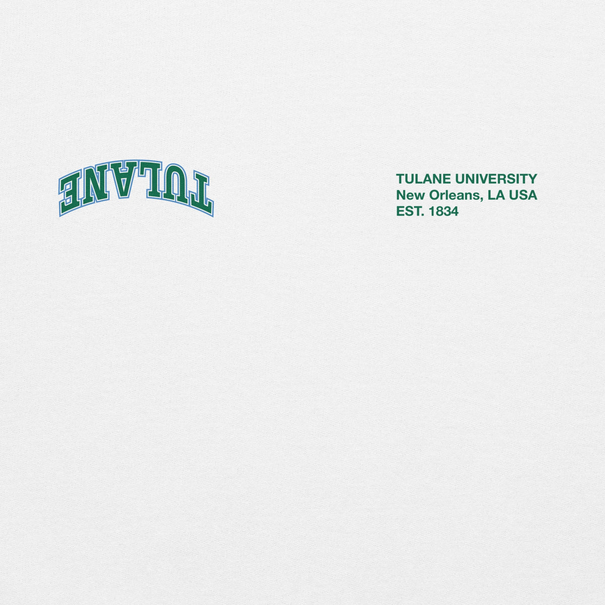Tulane x UPSIDE Hoodie - AVBL MRKT (3)
