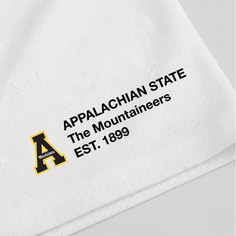 UPSIDE App State Mesh Shorts | Exclusive - AVBL MRKT (3)