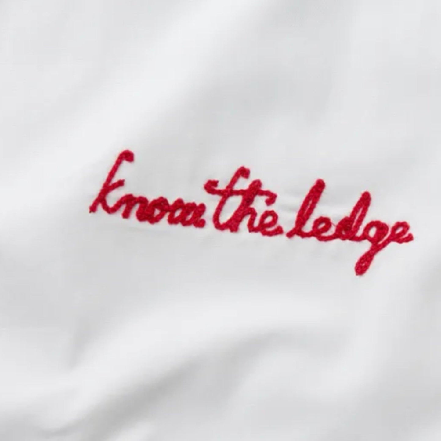 Air Jordan x Union LA Embroidered Logo Button Down Shirt Platinum (FW20) [CV1358-094] Casual Fashion Dress Top for Unisex Adult Mens Hypebeast - AVBL MRKT (4)