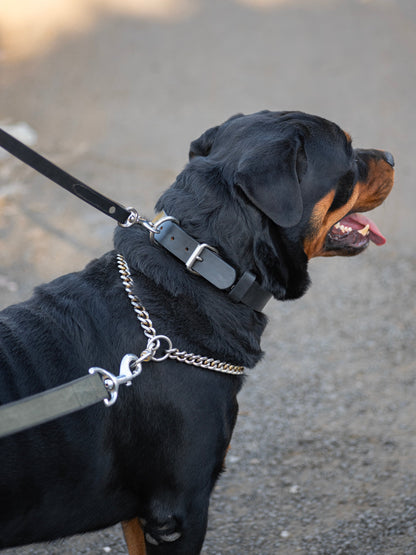 Classy Leather Bags Agitation Leather Dog Collar - AVBL MRKT (3)