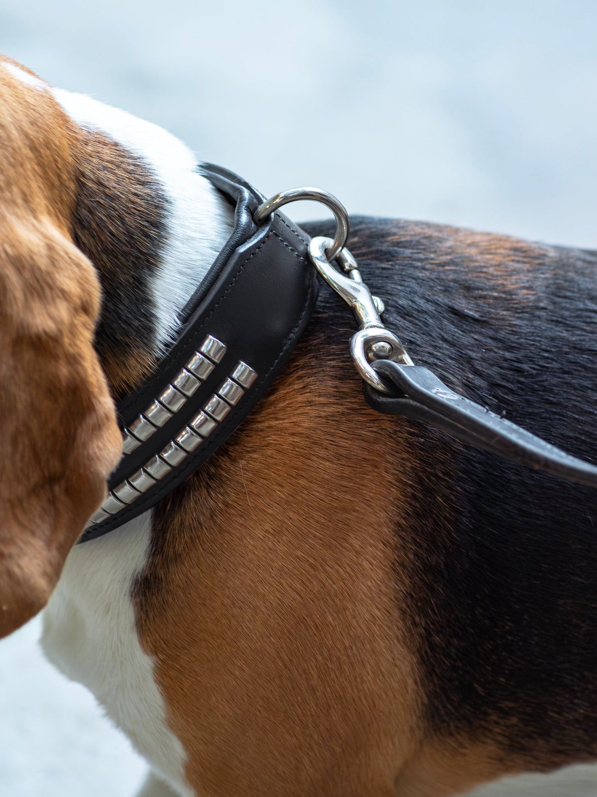 Classy Leather Bags Leather Collar with Designer Studs - AVBL MRKT (2)