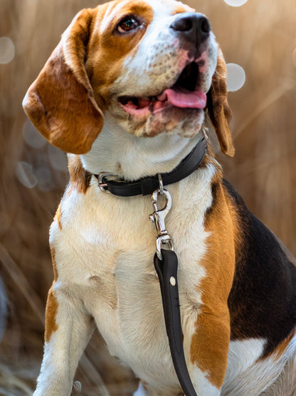 Classy Leather Bags Leather Dog Leash - AVBL MRKT (3)