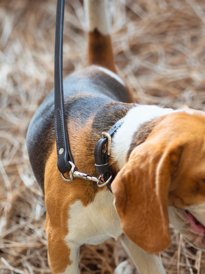 Classy Leather Bags Leather Dog Leash - AVBL MRKT (4)
