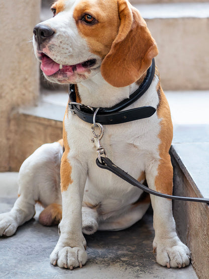 Classy Leather Bags Leather Dog Leash - AVBL MRKT (5)