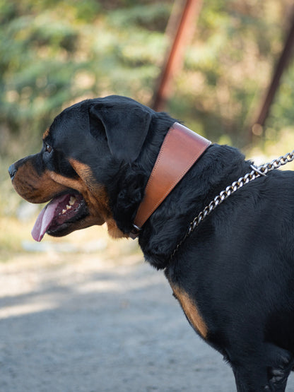 Classy Leather Bags Oval Leather Dog Collar - Tan - AVBL MRKT (2)