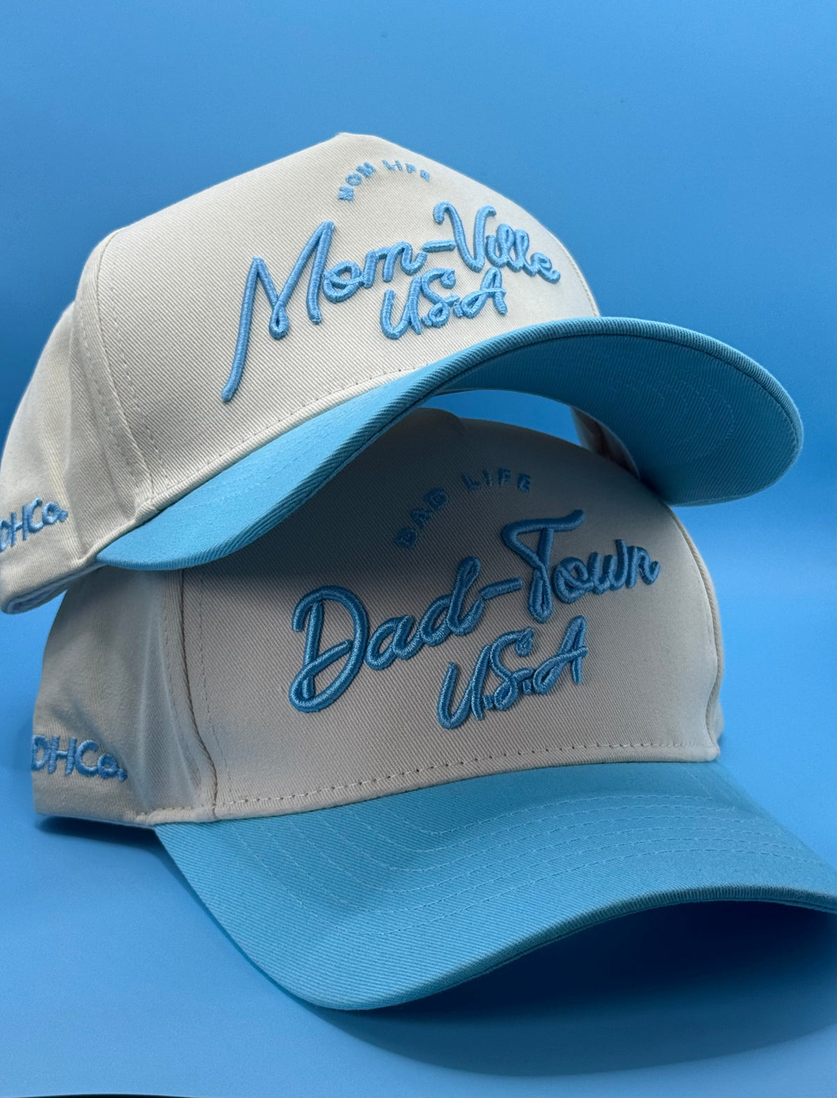 Destination Hat Co. The "Mom-Ville" Script Hat Light Blue - AVBL MRKT (2)