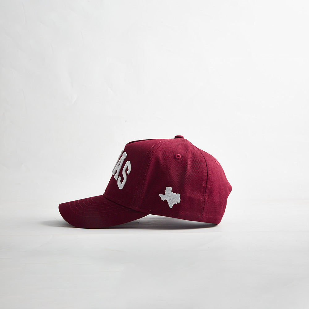 Destination Hat Co. The State of Texas Legacy Snapback - AVBL MRKT (2)