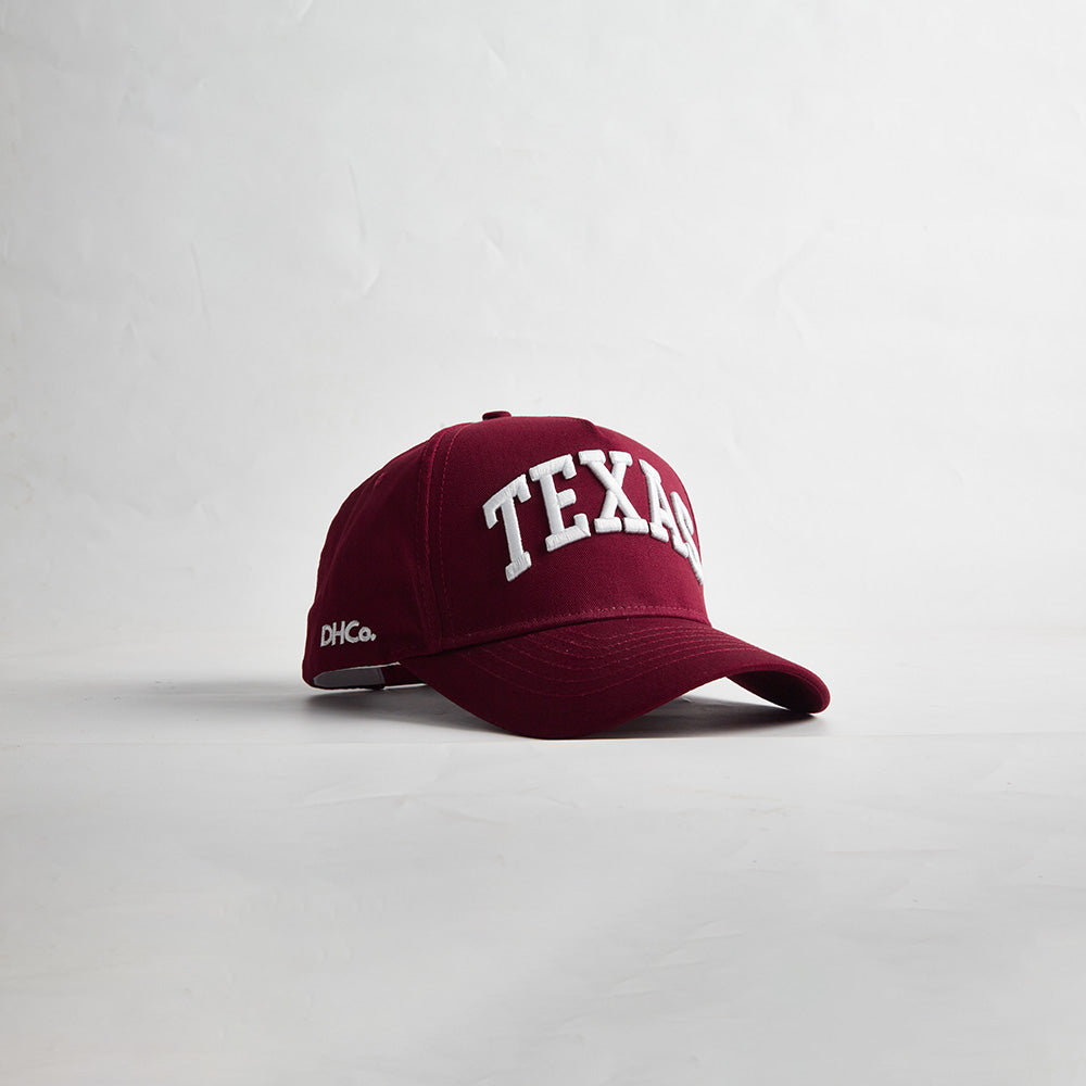 Destination Hat Co. The State of Texas Legacy Snapback - AVBL MRKT (4)