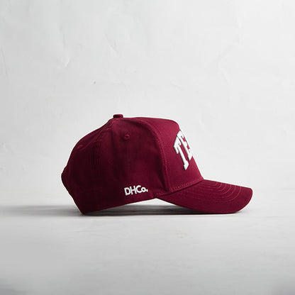 Destination Hat Co. The State of Texas Legacy Snapback - AVBL MRKT (5)
