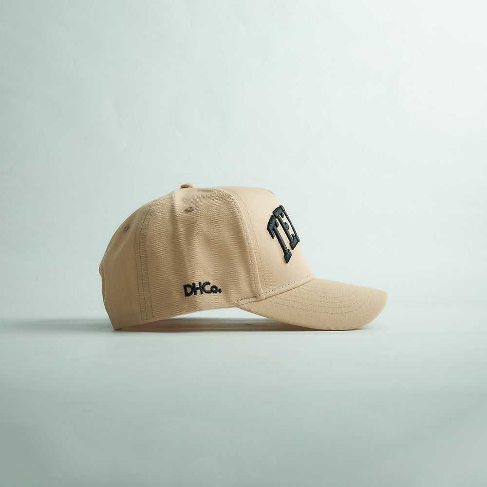 Destination Hat Co. The State of Texas Legacy Snapback - AVBL MRKT (5)