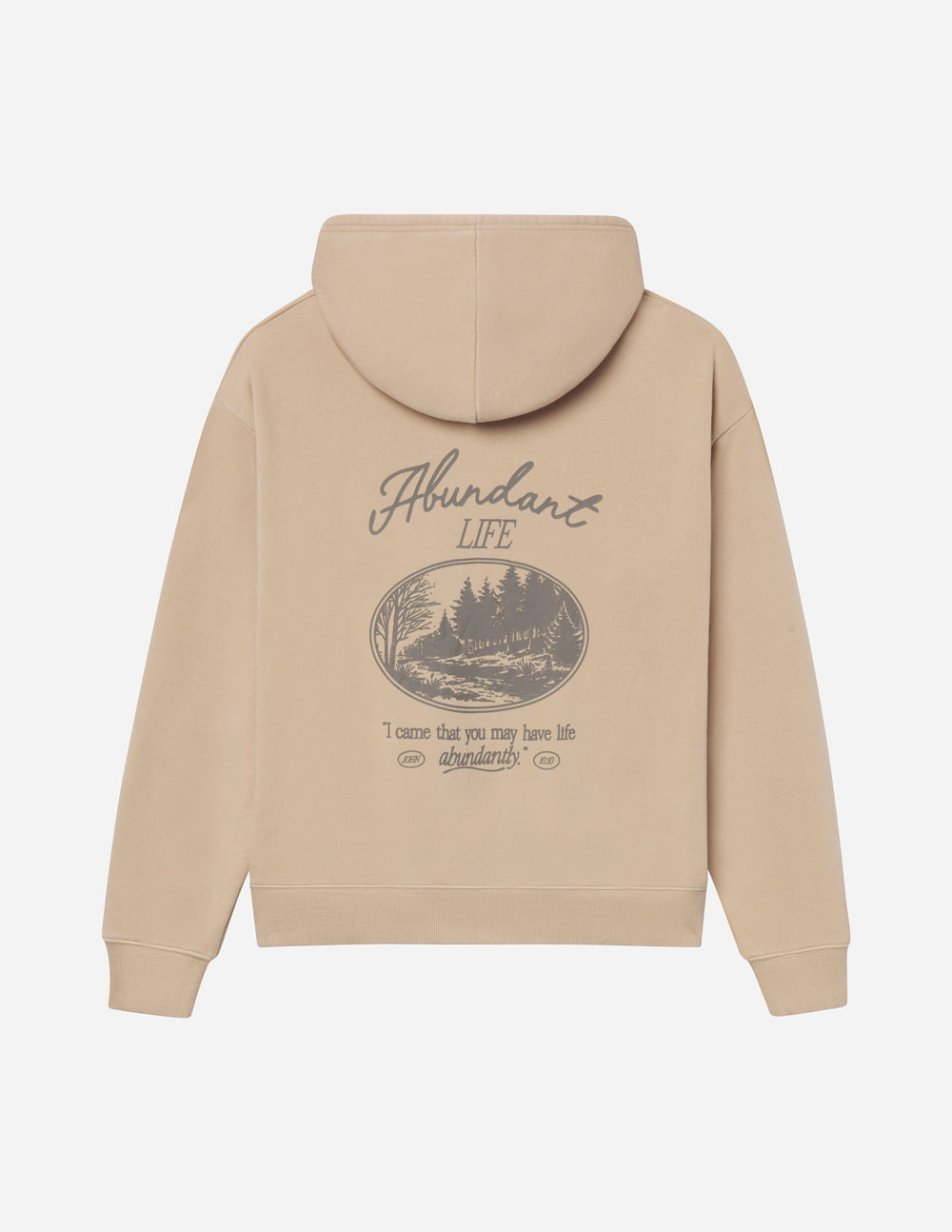 Elevated Faith Abundant Life Unisex Hoodie - AVBL MRKT (8)