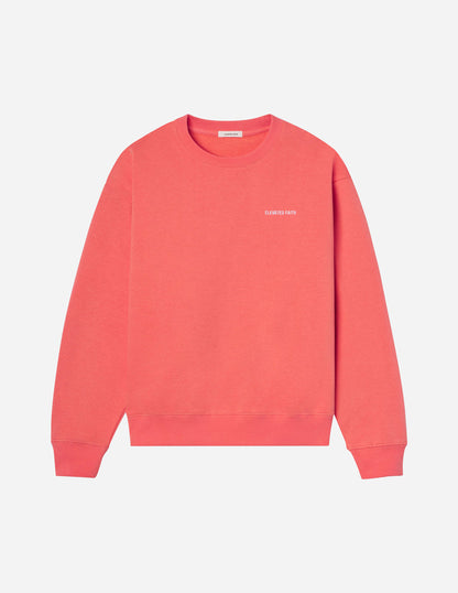 Elevated Faith Basics Canyon Unisex Crewneck - AVBL MRKT (6)