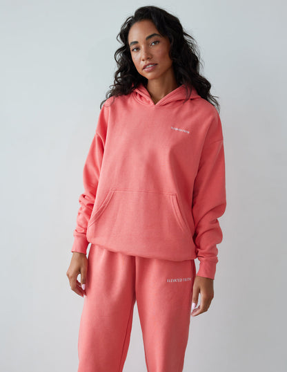 Elevated Faith Basics Canyon Unisex Hoodie - AVBL MRKT (1)