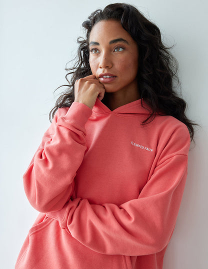 Elevated Faith Basics Canyon Unisex Hoodie - AVBL MRKT (3)