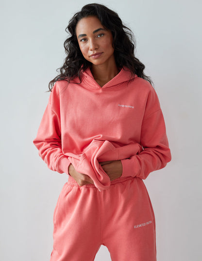 Elevated Faith Basics Canyon Unisex Hoodie - AVBL MRKT (5)