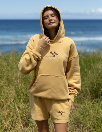 Elevated Faith Better Days Butterfly Unisex Hoodie - AVBL MRKT (2)
