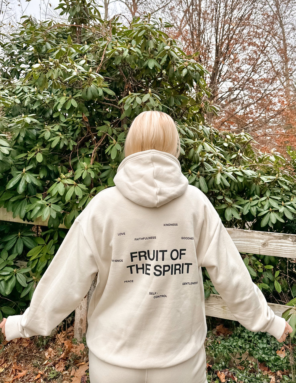 Elevated Faith Fruit of the Spirit Unisex Hoodie - AVBL MRKT (10)