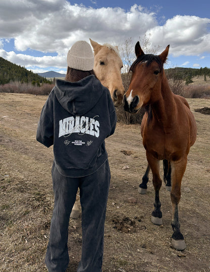 Elevated Faith God of Miracles Full-Zip Hoodie - AVBL MRKT (7)