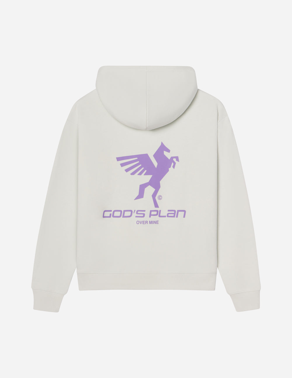 Elevated Faith God's Plan Racing Unisex Hoodie - AVBL MRKT (1)