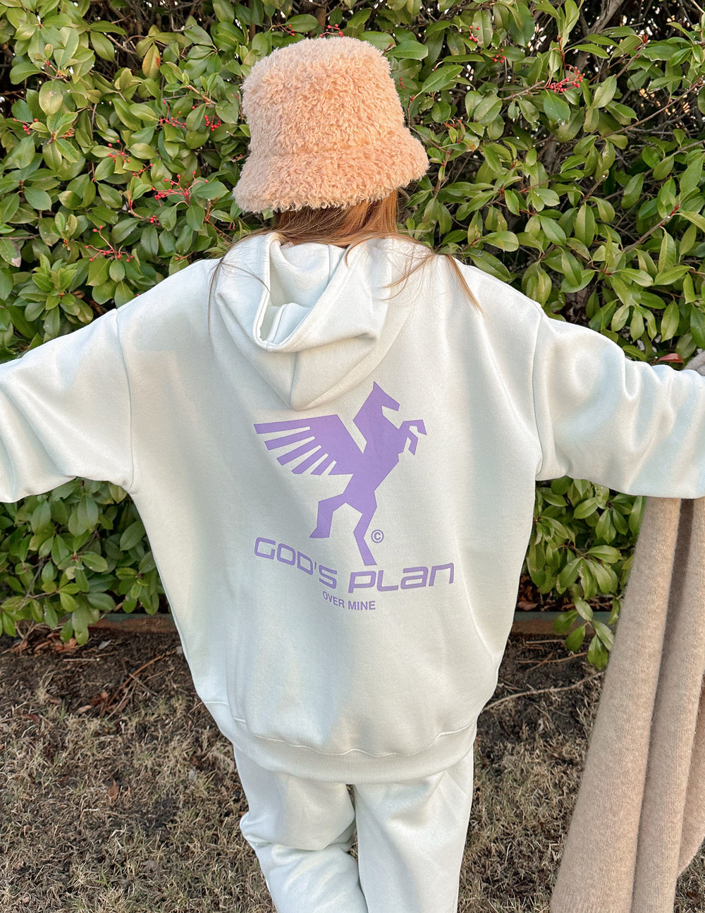 Elevated Faith God's Plan Racing Unisex Hoodie - AVBL MRKT (6)