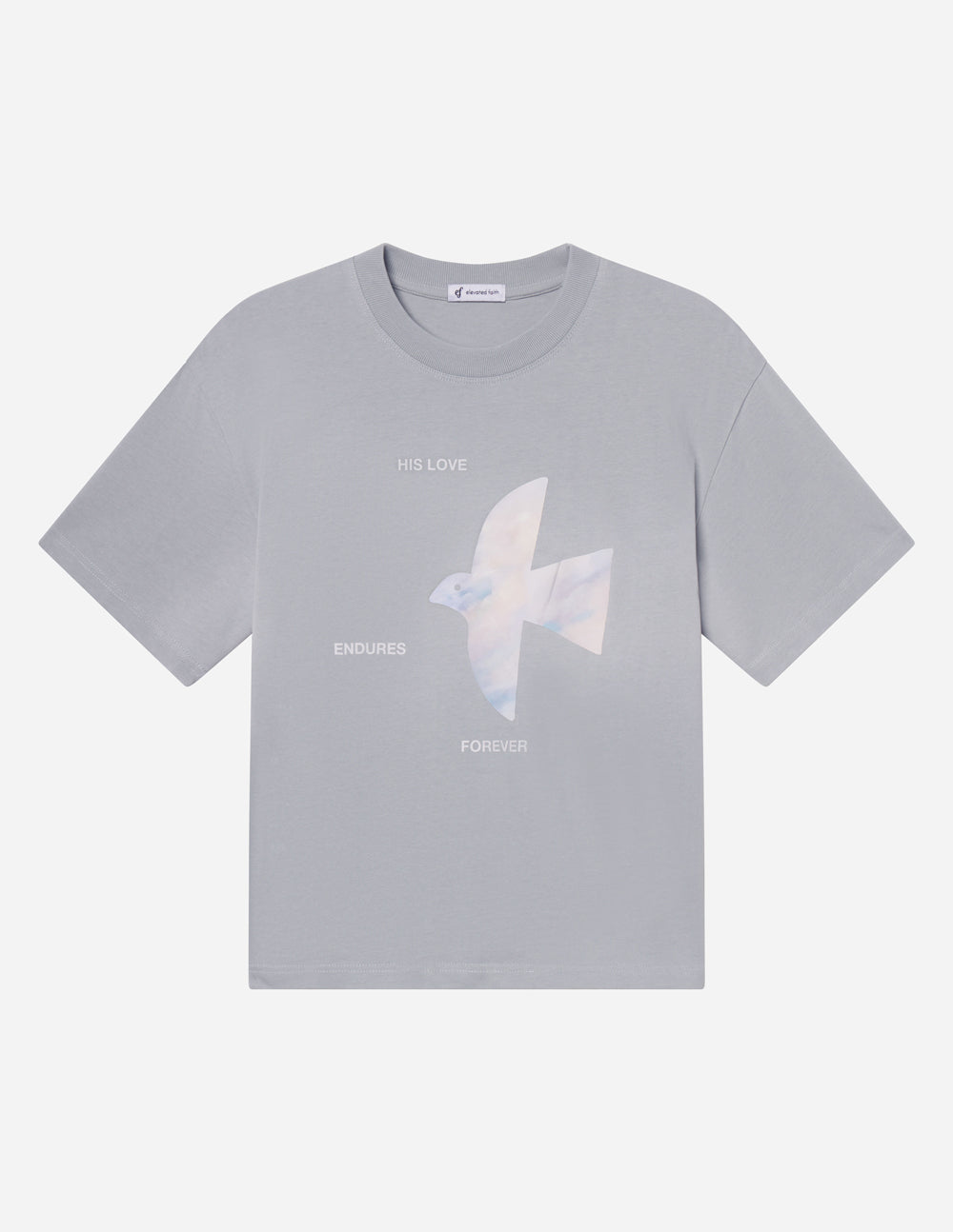 Elevated Faith His Love Endures Forever Heavyweight Tee - AVBL MRKT (7)
