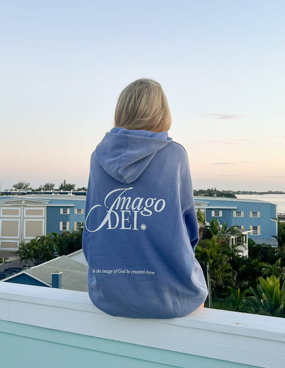 Elevated Faith Imago Dei Unisex Hoodie - AVBL MRKT (7)