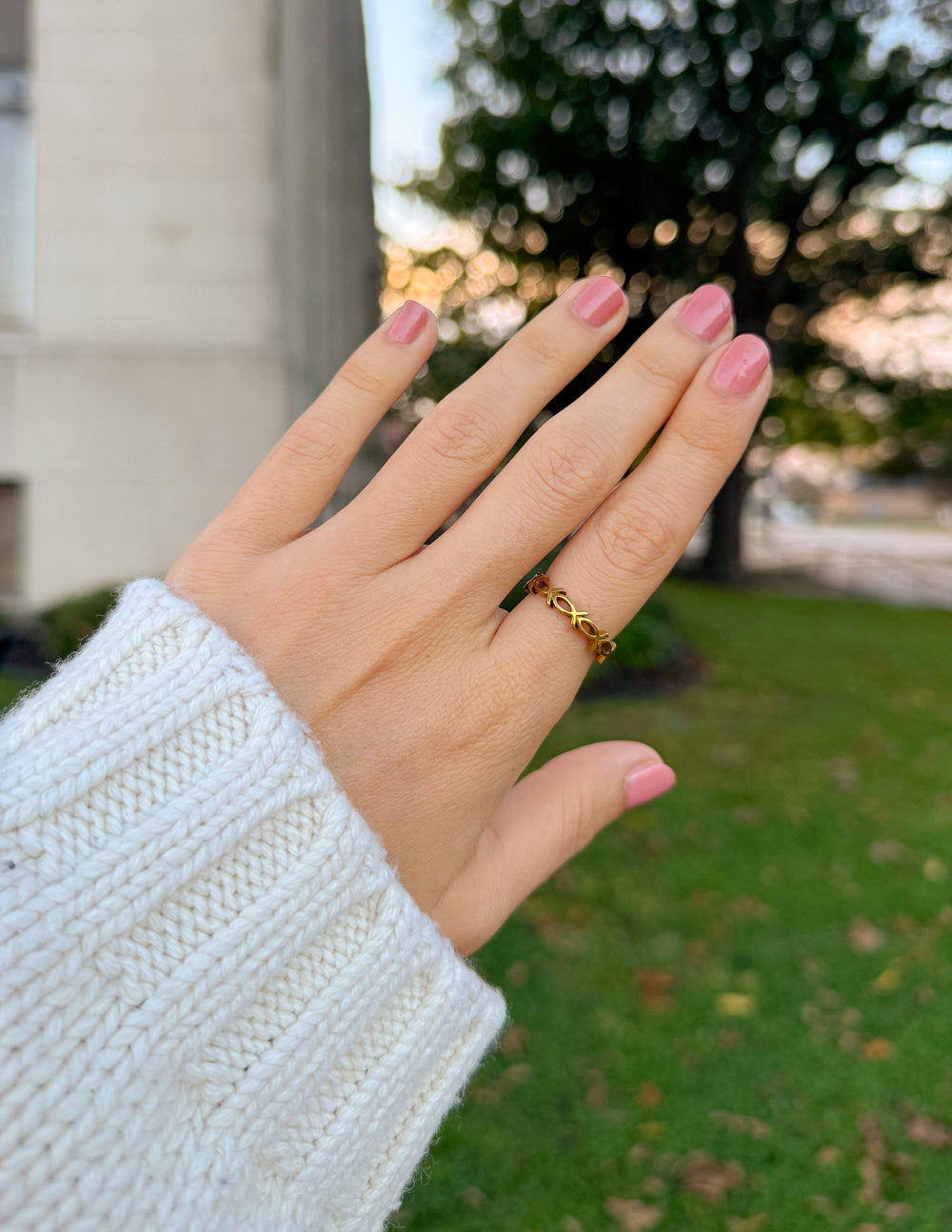 Elevated Faith Infinity Jesus Fish Ring - AVBL MRKT (3)