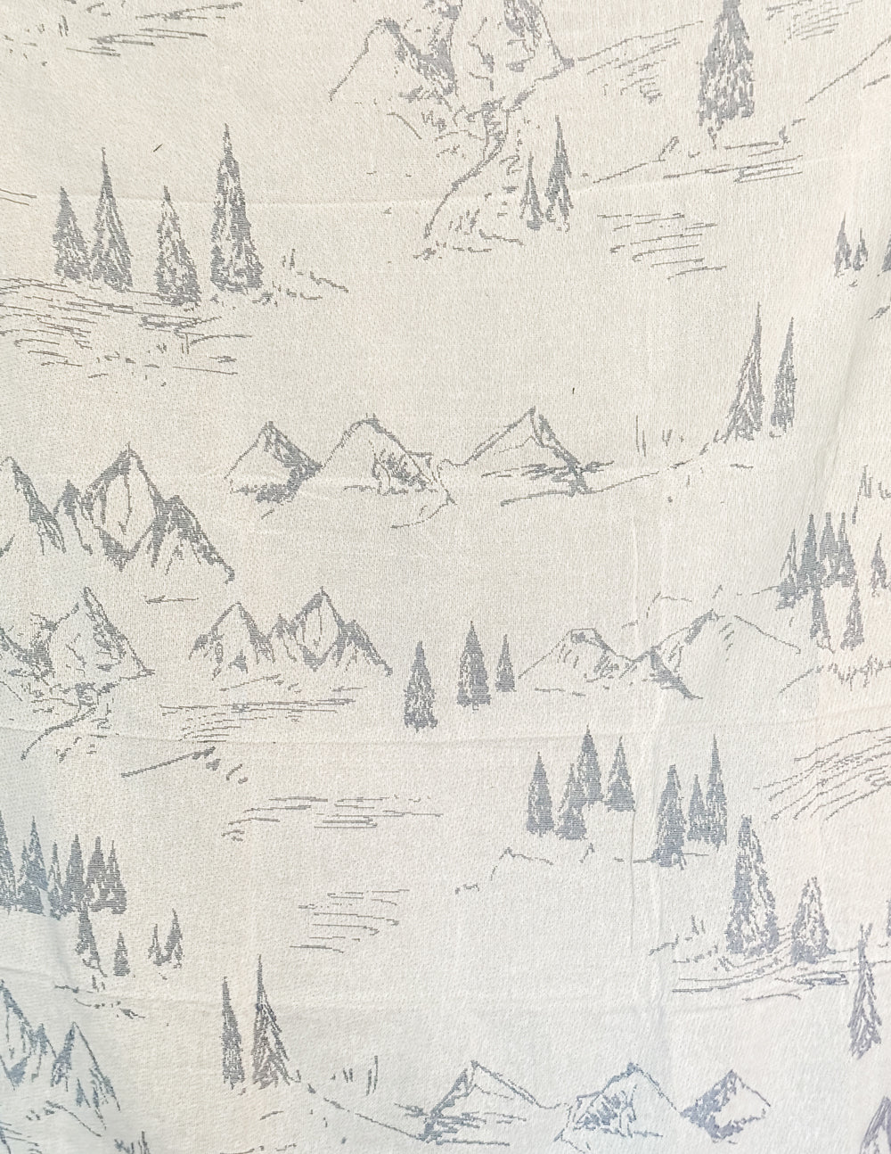 Elevated Faith Mountainscape Throw Blanket - AVBL MRKT (1)
