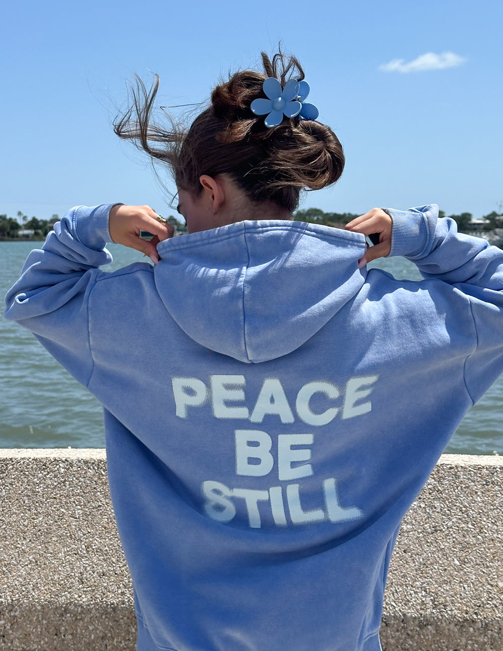 Elevated Faith Peace Be Still Unisex Hoodie - AVBL MRKT (12)