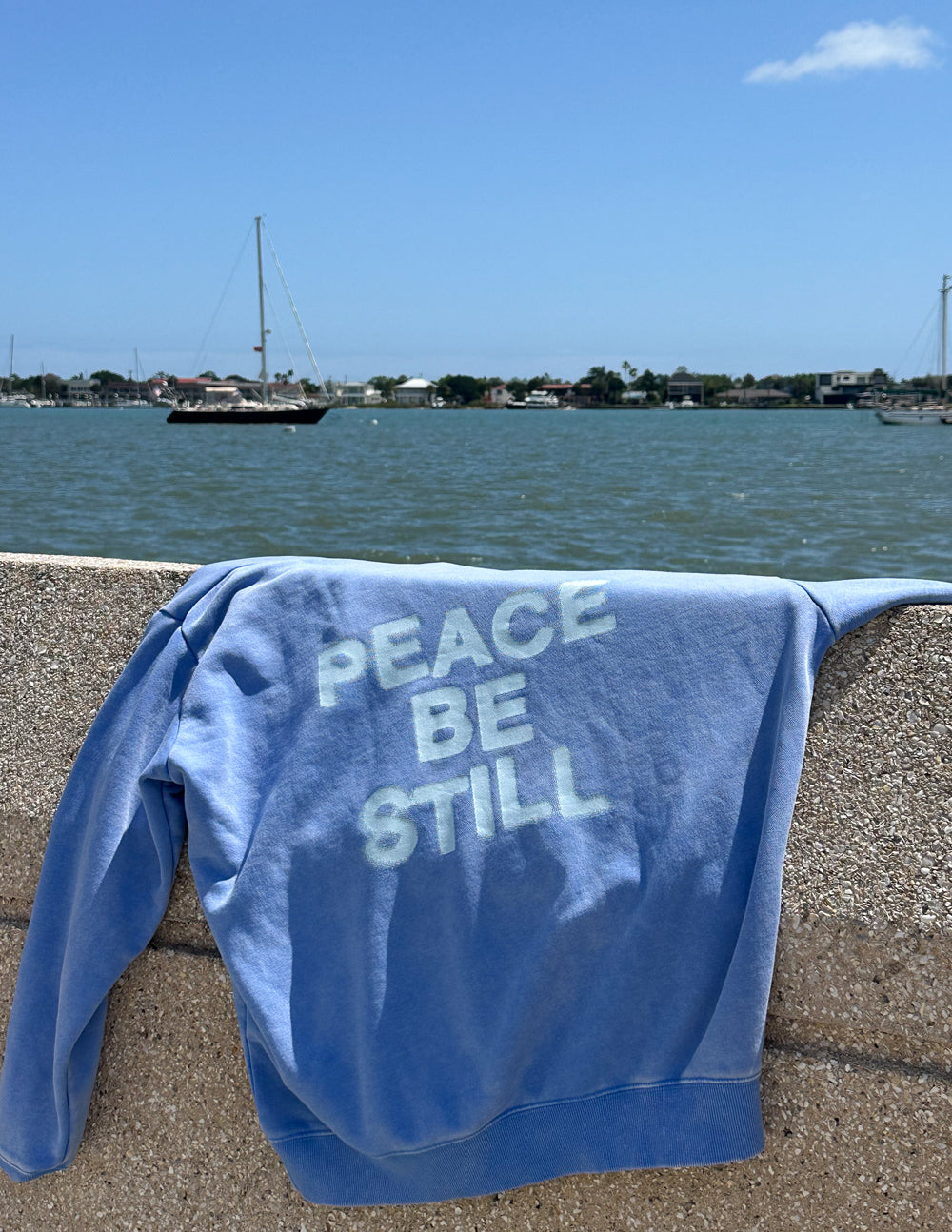 Elevated Faith Peace Be Still Unisex Hoodie - AVBL MRKT (13)