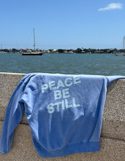 Elevated Faith Peace Be Still Unisex Hoodie - AVBL MRKT (13)