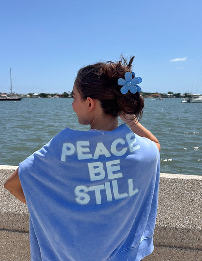 Elevated Faith Peace Be Still Unisex Hoodie - AVBL MRKT (14)