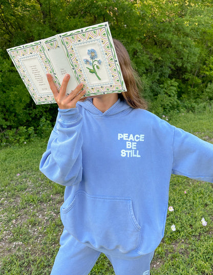 Elevated Faith Peace Be Still Unisex Hoodie - AVBL MRKT (9)