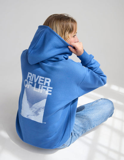 Elevated Faith River of Life Unisex Hoodie - AVBL MRKT (2)