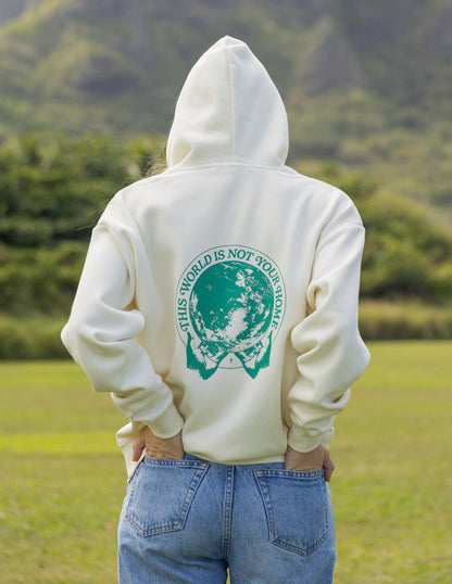 Elevated Faith This World Is Not Your Home Unisex Hoodie - AVBL MRKT (3)