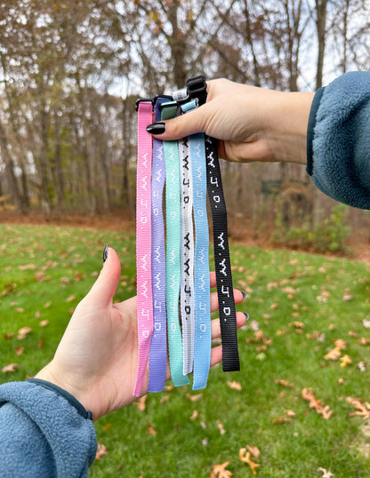 Elevated Faith WWJD Bracelet Pack - AVBL MRKT (4)