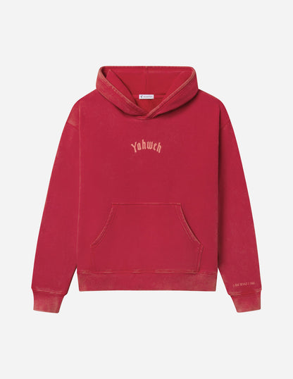 Elevated Faith Yahweh Unisex Hoodie - AVBL MRKT (7)
