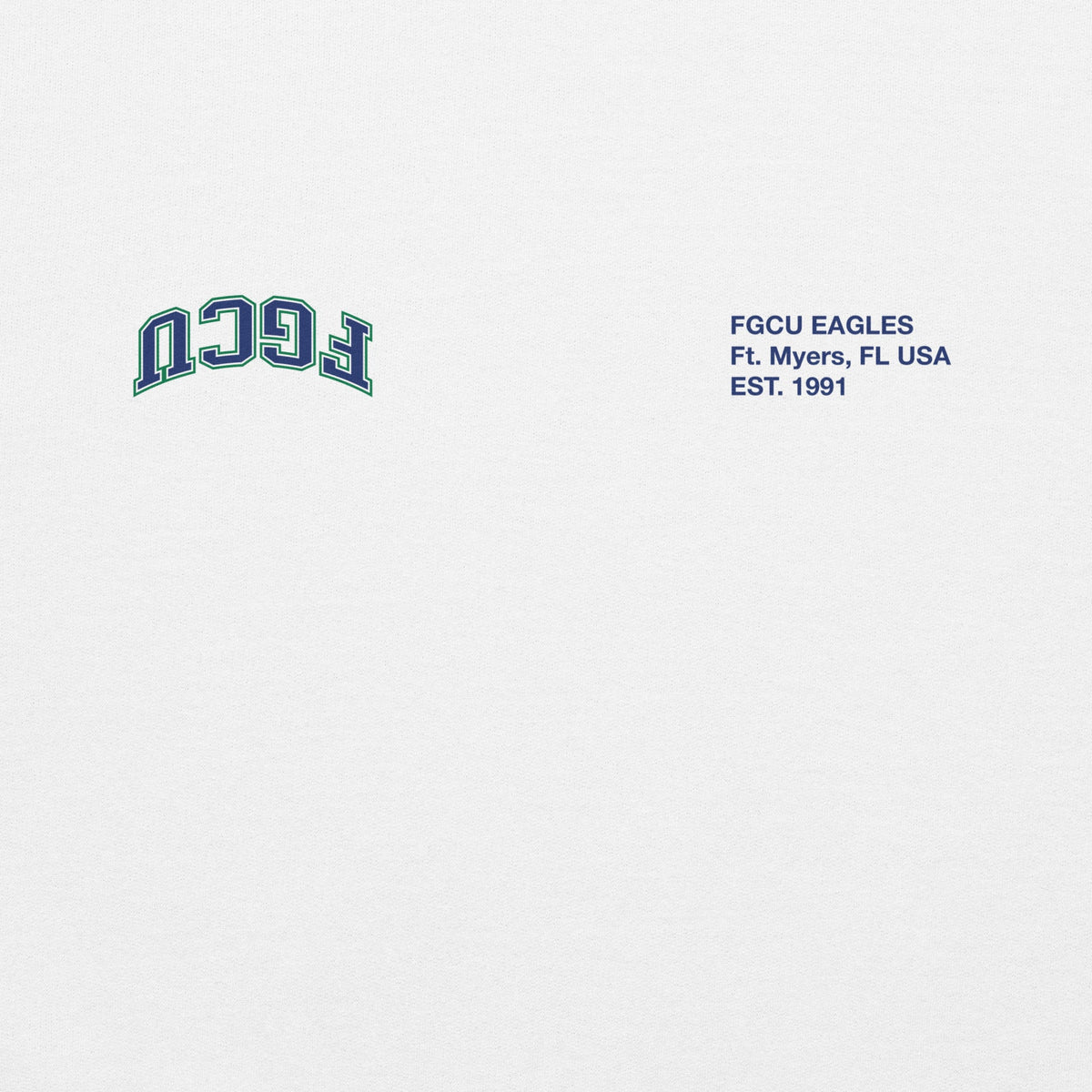 FGCU x UPSIDE Hoodie - AVBL MRKT (3)