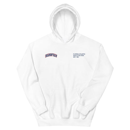 Florida Atlantic x UPSIDE Hoodie - AVBL MRKT (1)