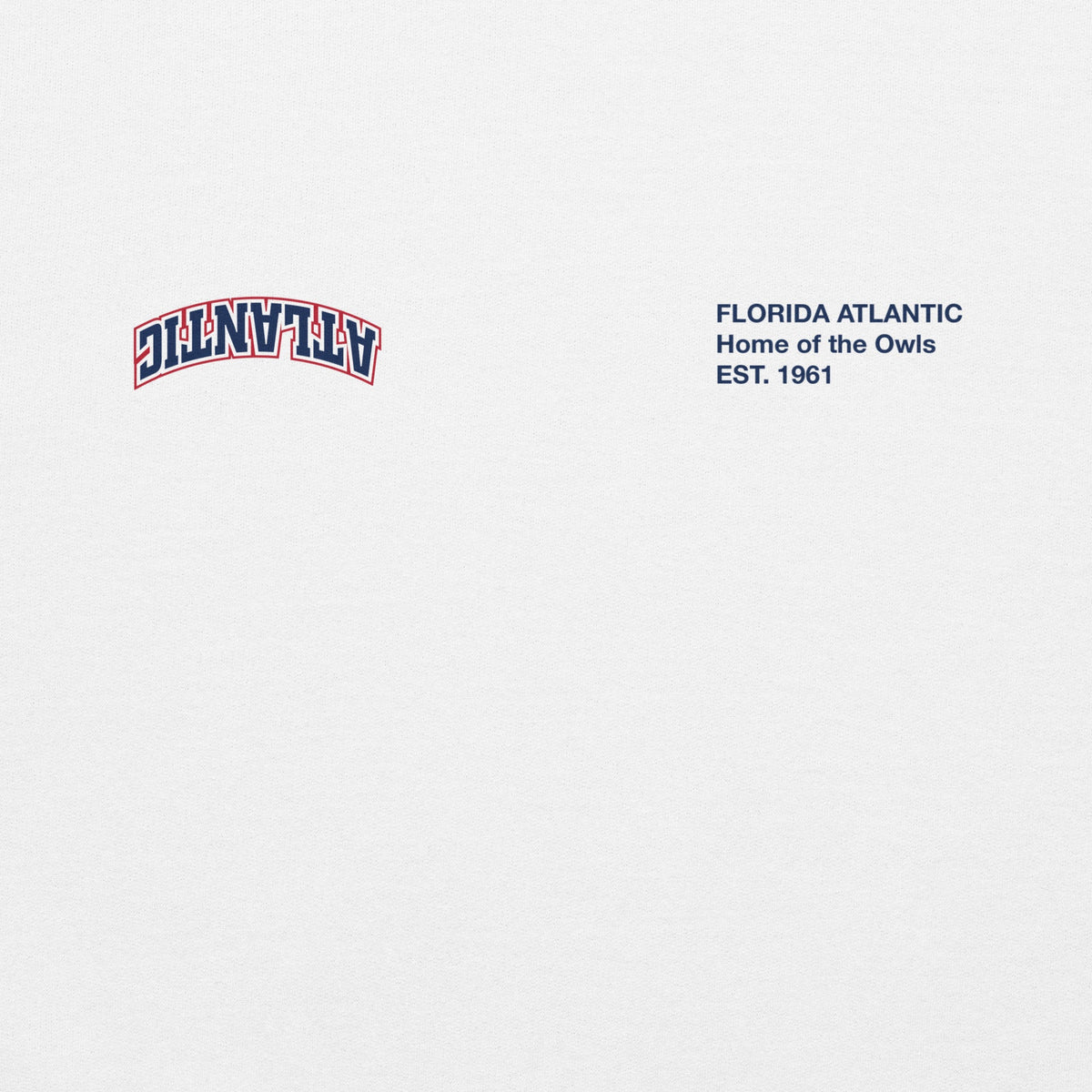 Florida Atlantic x UPSIDE Hoodie - AVBL MRKT (3)