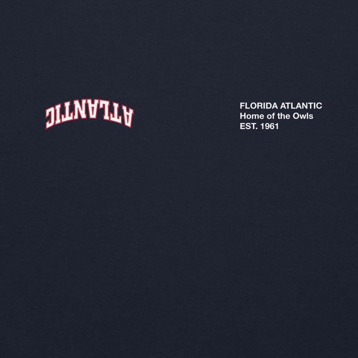 Florida Atlantic x UPSIDE Hoodie - AVBL MRKT (3)