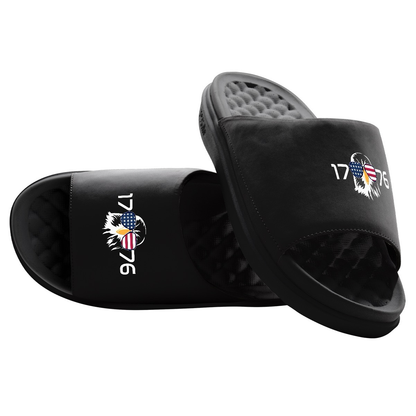 ISlide 1776 Bald Eagle Motive - AVBL MRKT (1)