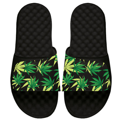 ISlide Herb Loudmouth Pattern Slides - AVBL MRKT (2)
