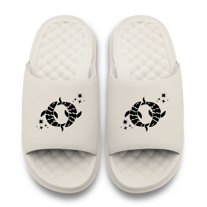 ISlide Pisces Zodiac Symbols Motive - AVBL MRKT (4)