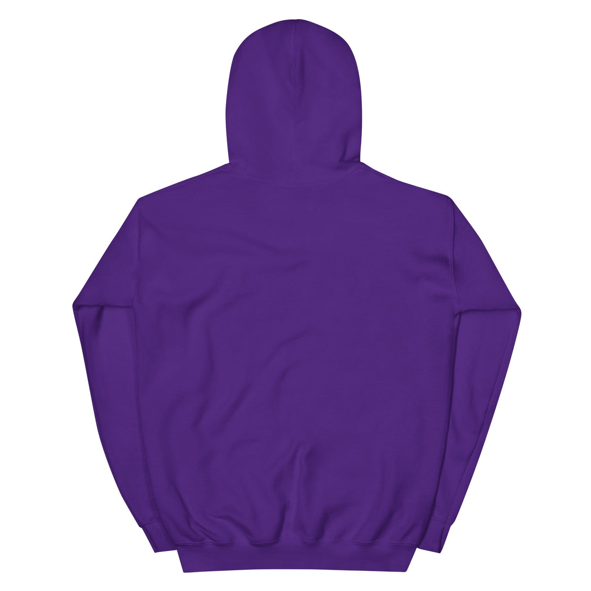 Kansas State x UPSIDE Hoodie - AVBL MRKT (2)
