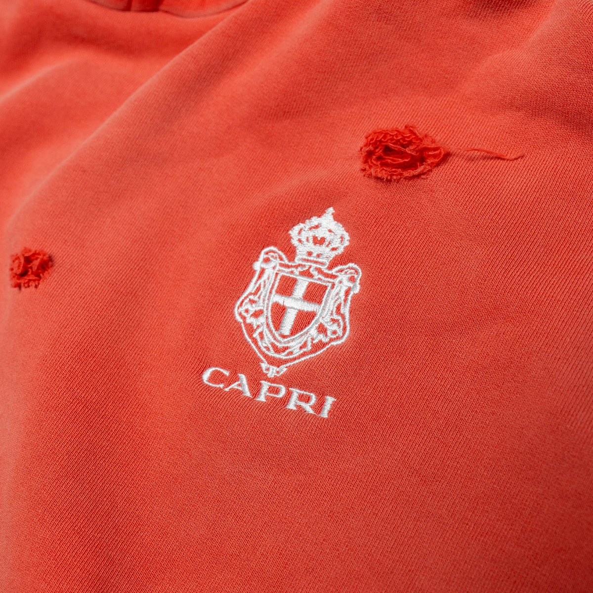 ProjectCapri CAPRI CREST HOODIE - AVBL MRKT (7)